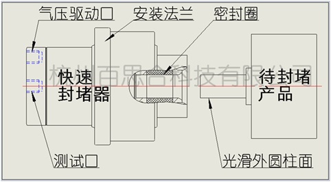 外表面封堵器应用场景框线图-光滑外表面.jpg